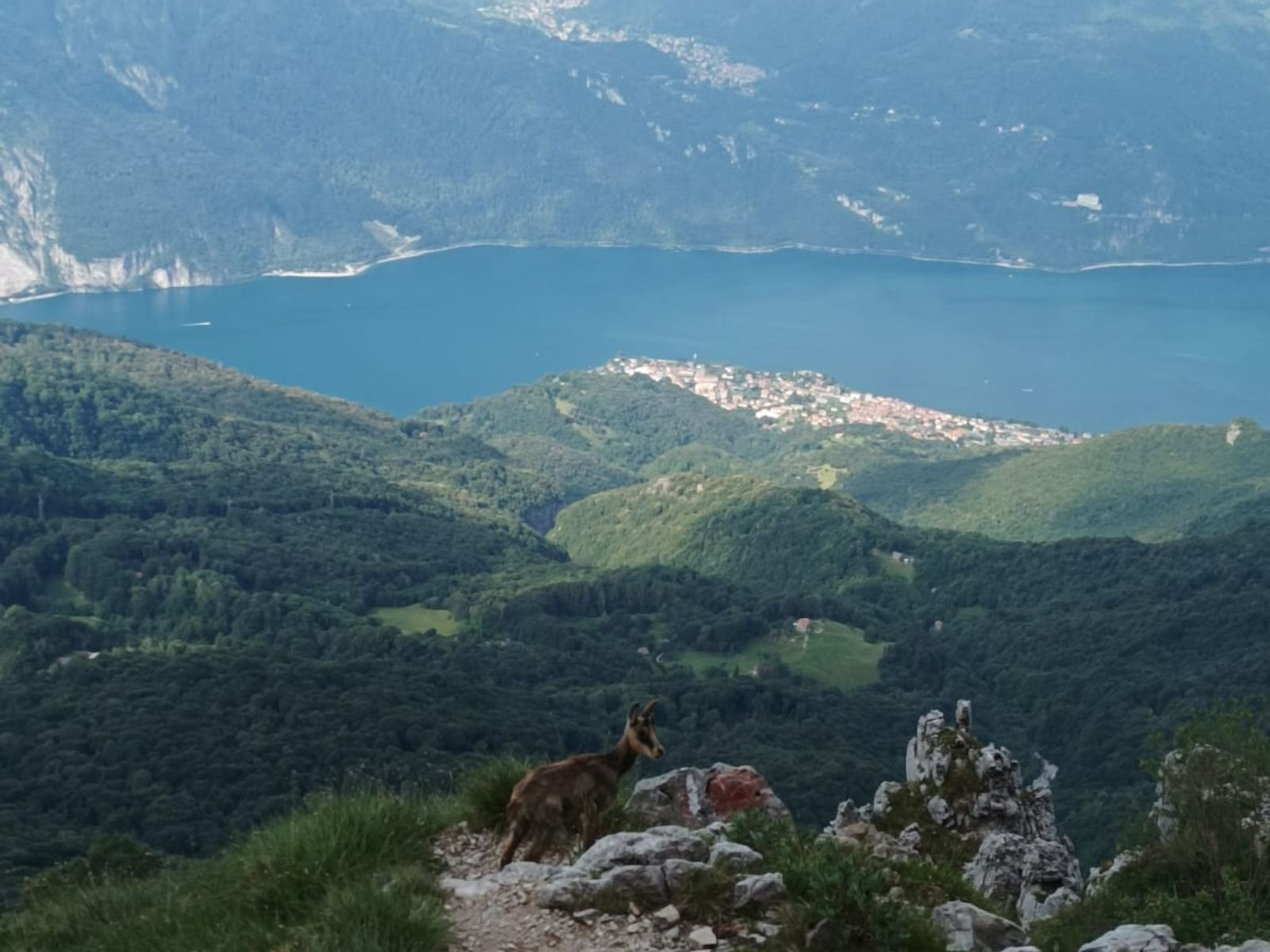 grignetta_montagnabella_outdoor_01