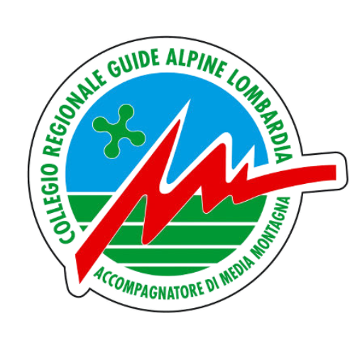 logo guida alpina lombardia