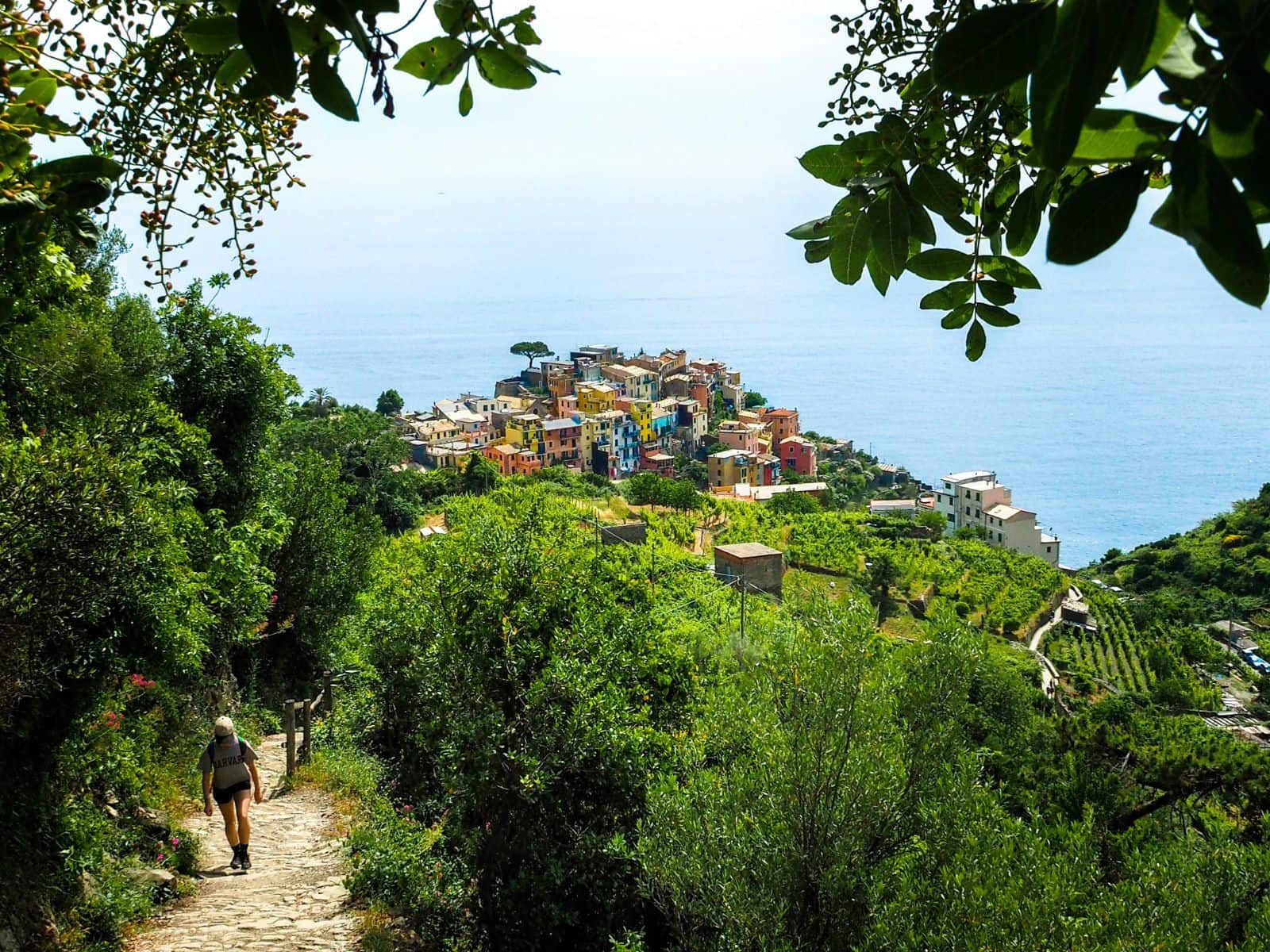 cinque_terre_montagnabella_outdoor_03